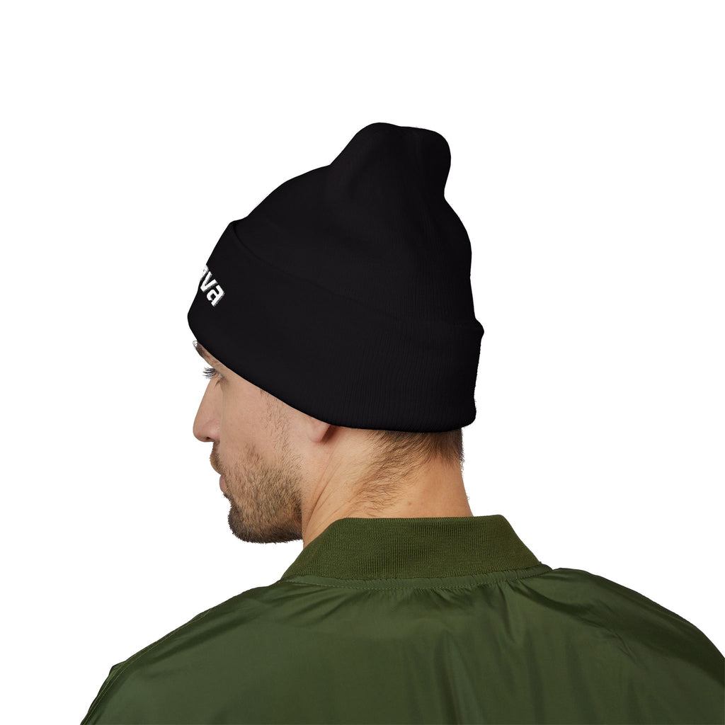 Discova Beanie Weenie ;) — Classic Embroidered Logo Black Winter Cuffed Hat